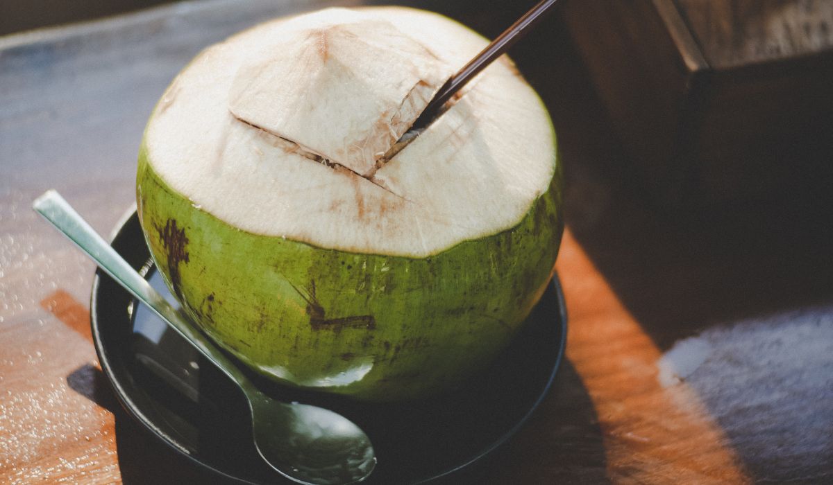 manfaat kelapa muda