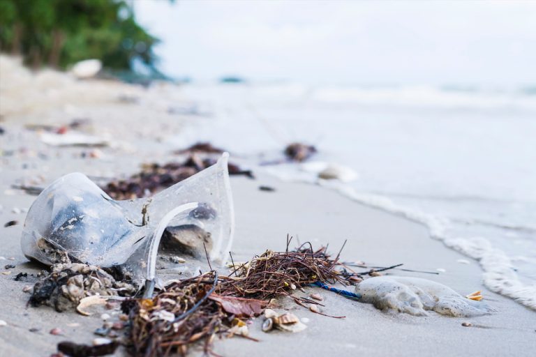 Mikroplastik