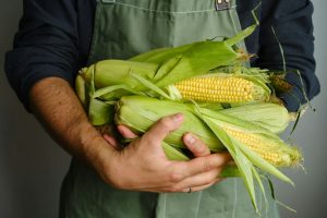 Tips menanam jagung