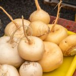 Bengkoang