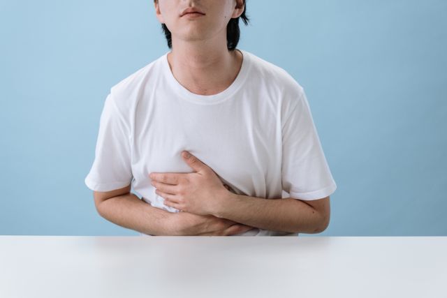 fungsi liver