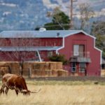 Ranch