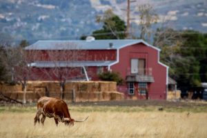 Ranch