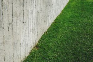 rumput di halaman rumah